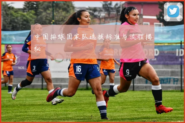 中国排球国家队选拔标准与流程揭秘