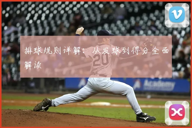 排球规则详解：从发球到得分全面解读