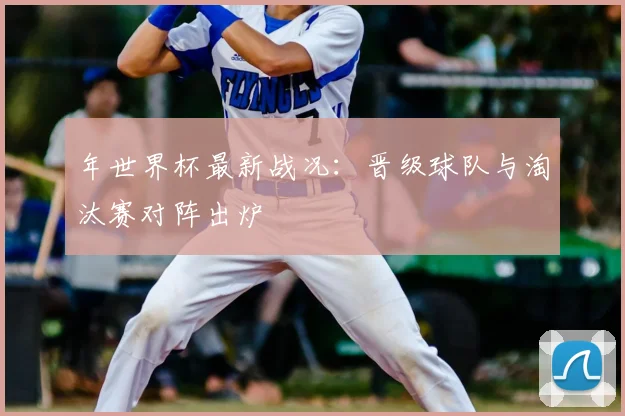 年世界杯最新战况：晋级球队与淘汰赛对阵出炉