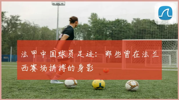 法甲中国球员足迹：那些曾在法兰西赛场拼搏的身影