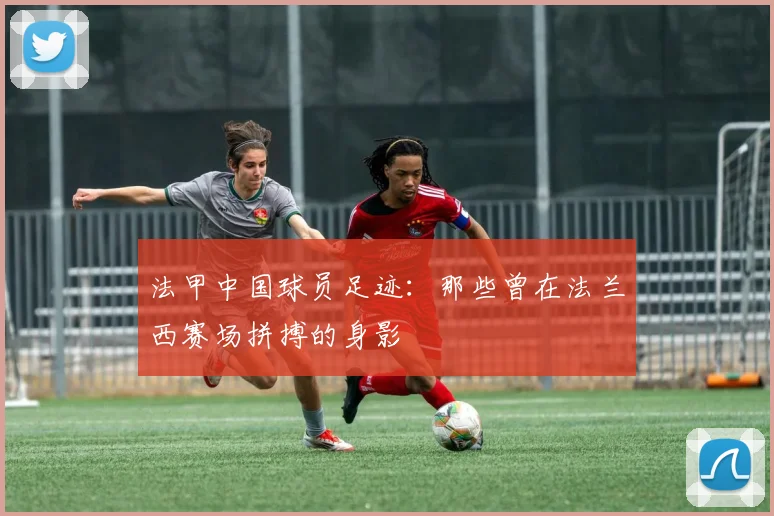 法甲中国球员足迹：那些曾在法兰西赛场拼搏的身影