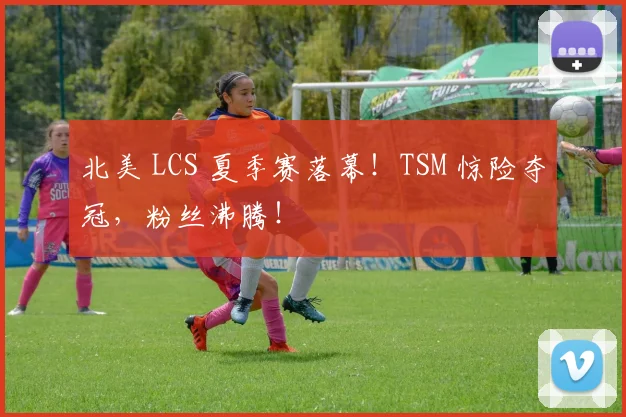 北美 LCS 夏季赛落幕!TSM 惊险夺冠,粉丝沸腾!