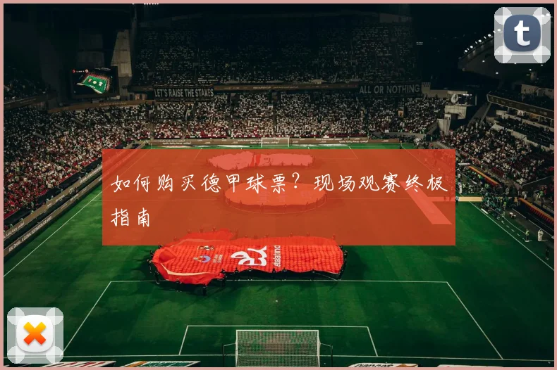 如何购买德甲球票?现场观赛终极指南