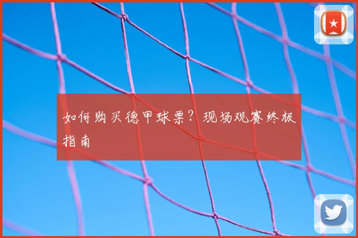 如何购买德甲球票?现场观赛终极指南